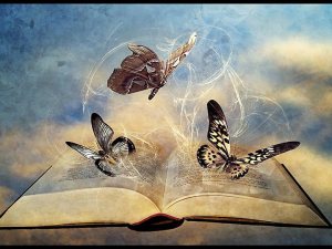 book-and-butterflies